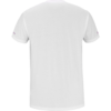 Babolat Cotton Tee Lebron (White/White) (2025)