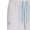 Babolat Pant Lebron (Vapor Heather) (2025)