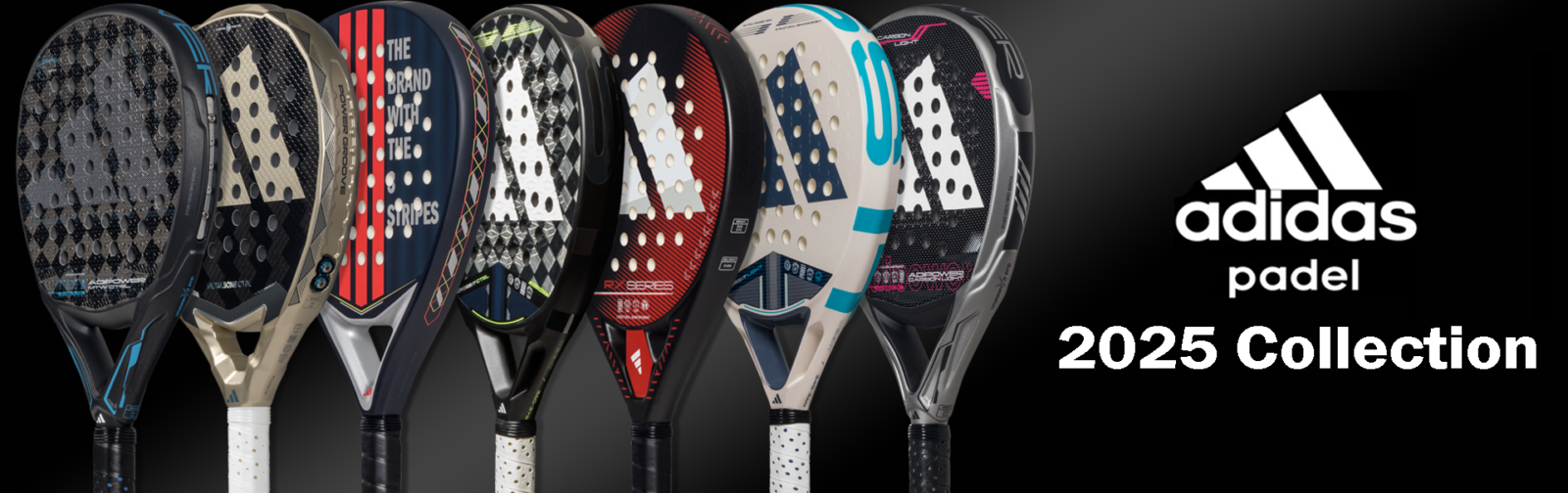 Carousel Desktop Image