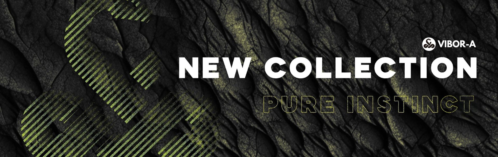 Carousel Desktop Image